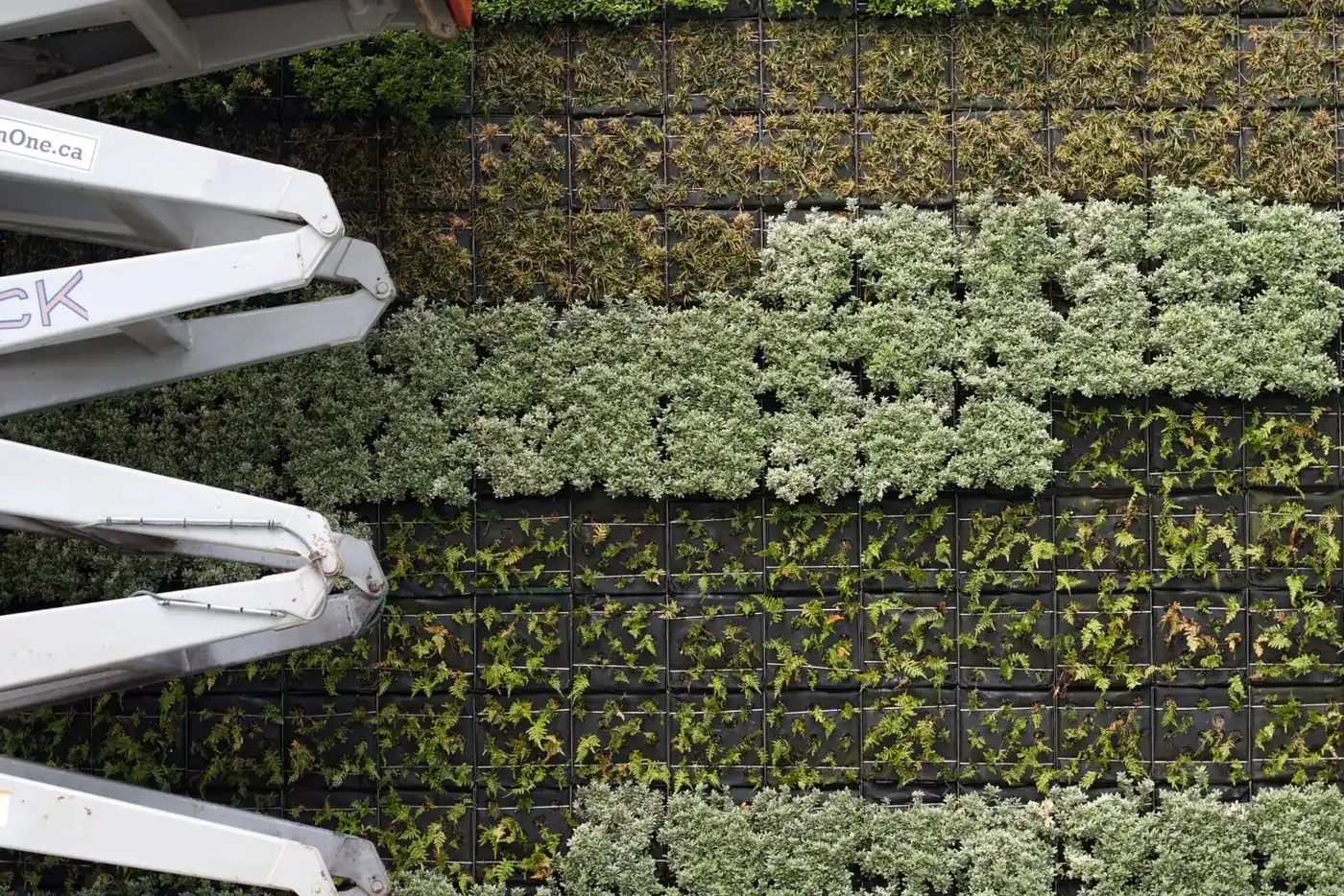 Muro verde modular con plantas suculentas