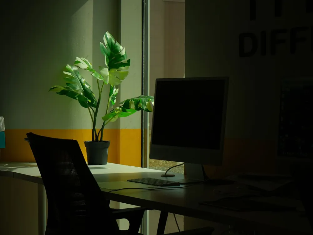 Escritorio de oficina con una monstera junto a la ventana